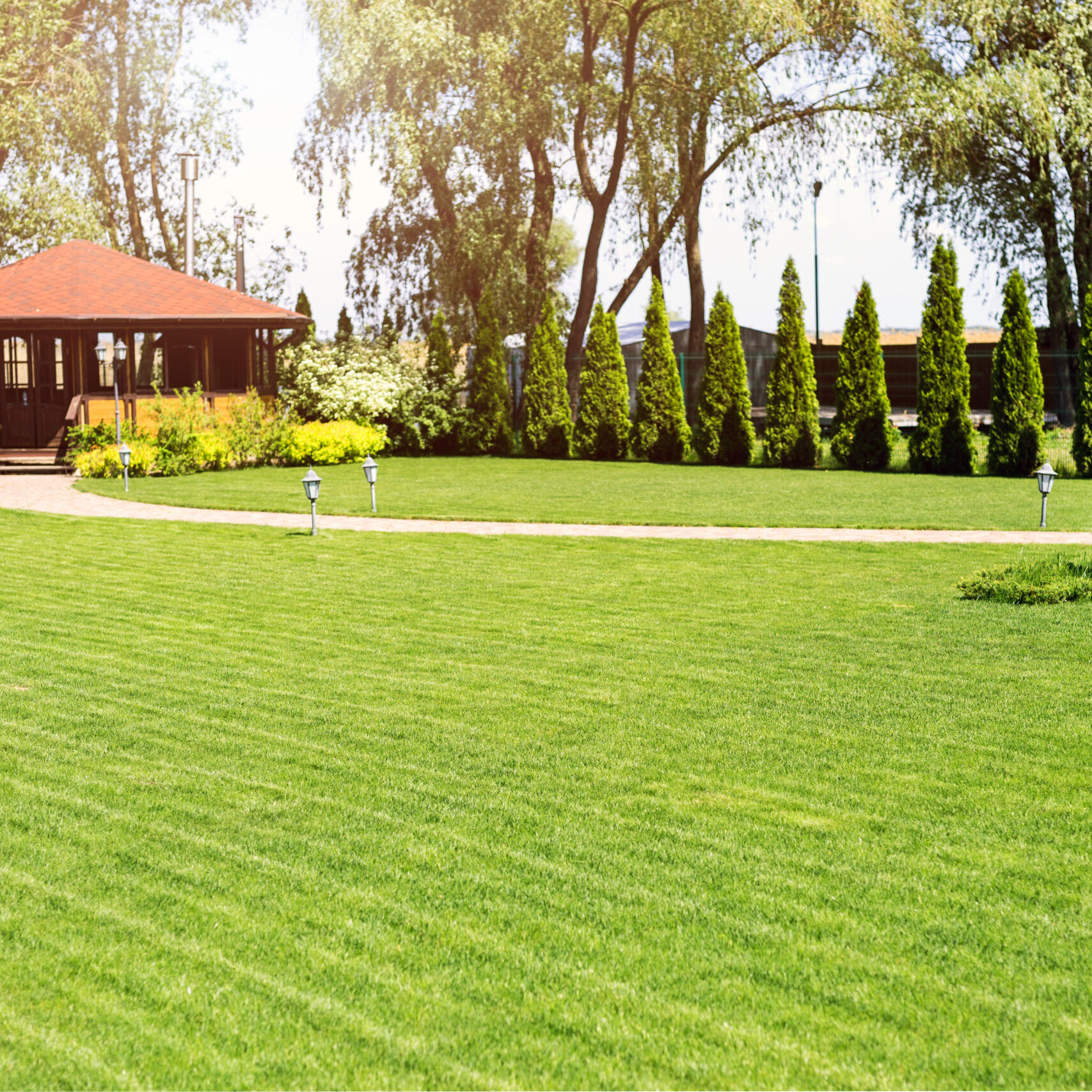 Freshly mowed rows of green lawn at country residence with summerhouse. Hedge of fresh cedars. Landscape design and gardening concept.